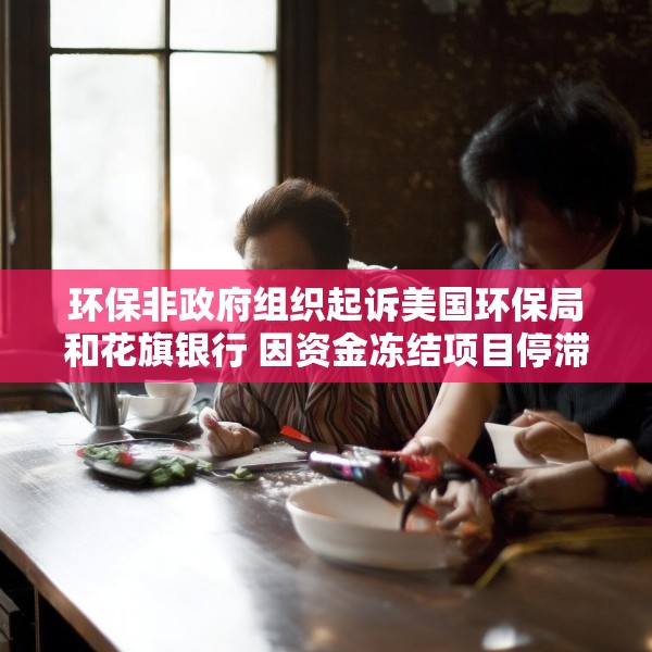 环保非政府组织起诉美国环保局和花旗银行 因资金冻结项目停滞