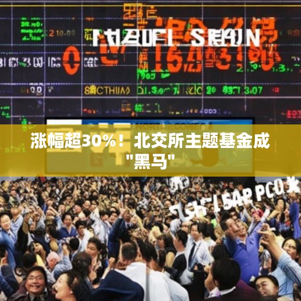 涨幅超30%！北交所主题基金成