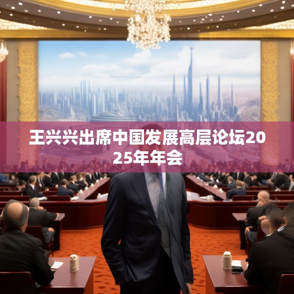 王兴兴出席中国发展高层论坛2025年年会