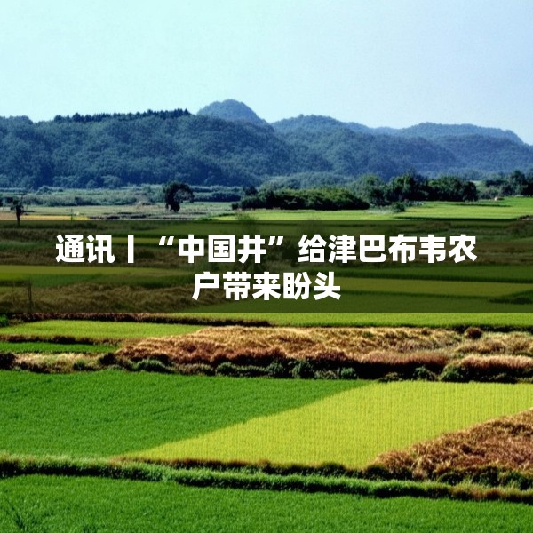 通讯丨“中国井”给津巴布韦农户带来盼头