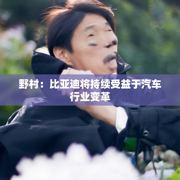 野村：比亚迪将持续受益于汽车行业变革