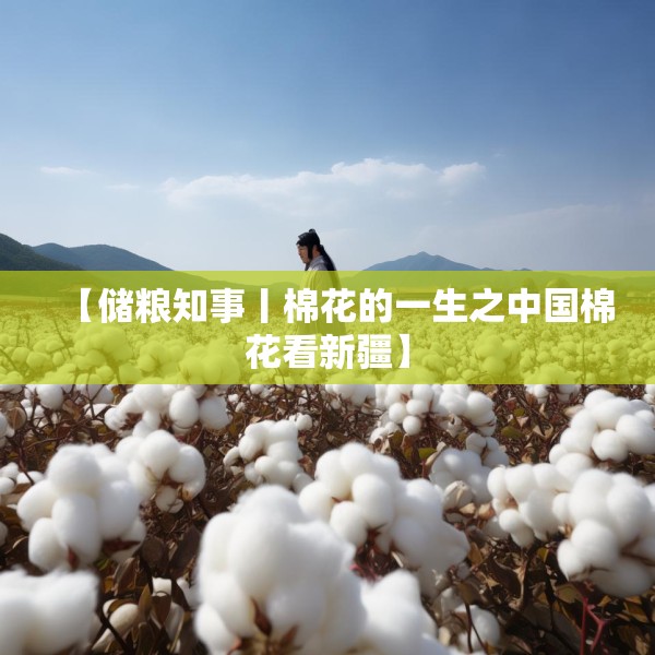 【储粮知事丨棉花的一生之中国棉花看新疆】