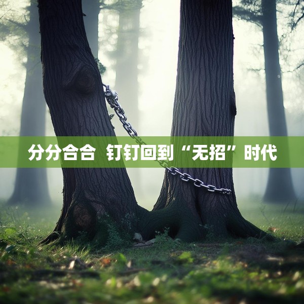 分分合合  钉钉回到“无招”时代