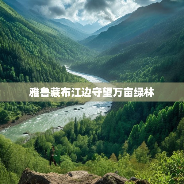 雅鲁藏布江边守望万亩绿林