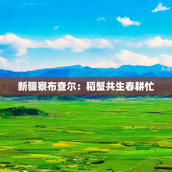 新疆察布查尔：稻蟹共生春耕忙