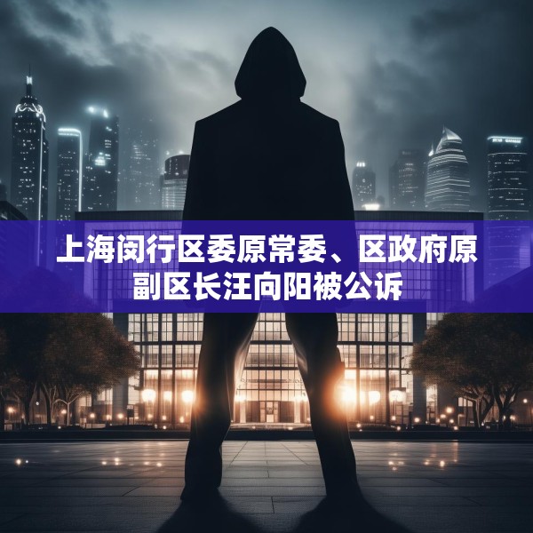 上海闵行区委原常委、区政府原副区长汪向阳被公诉