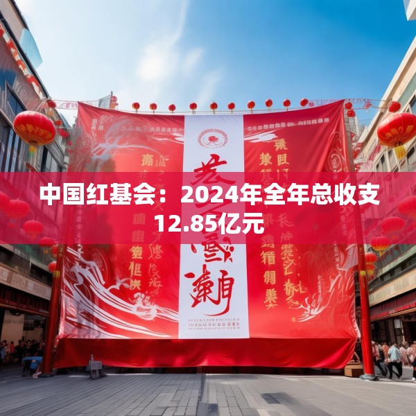 中国红基会：2024年全年总收支12.85亿元