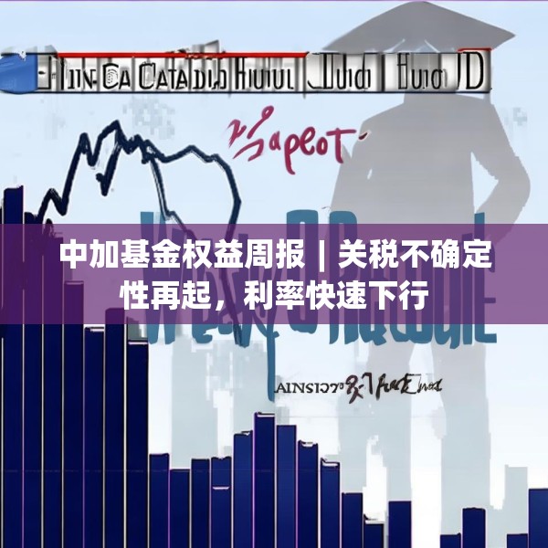 中加基金权益周报︱关税不确定性再起，利率快速下行