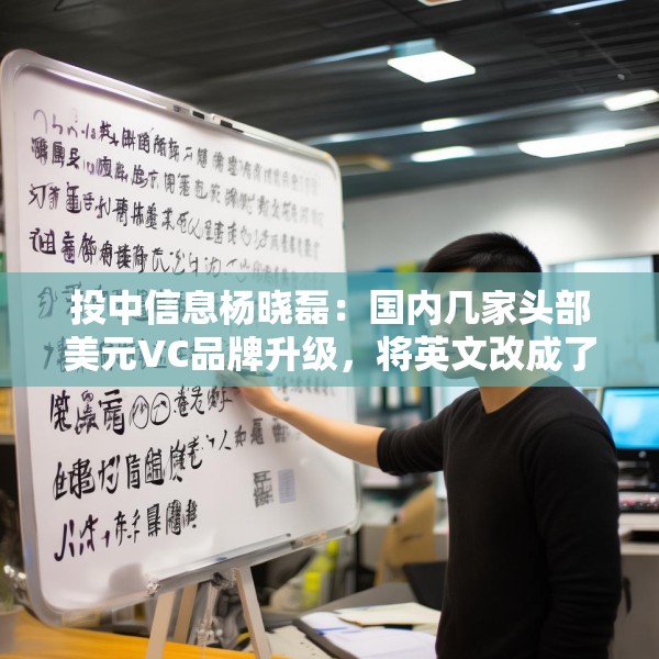 投中信息杨晓磊：国内几家头部美元VC品牌升级，将英文改成了拼音