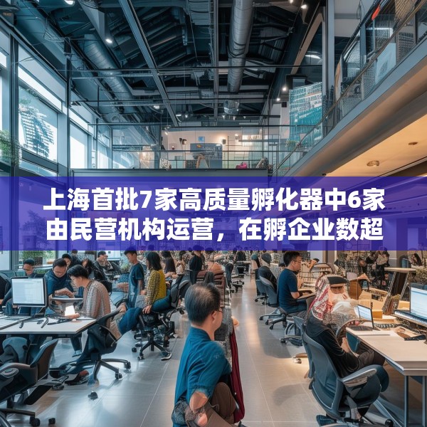 上海首批7家高质量孵化器中6家由民营机构运营，在孵企业数超200家