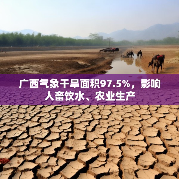 广西气象干旱面积97.5%，影响人畜饮水、农业生产