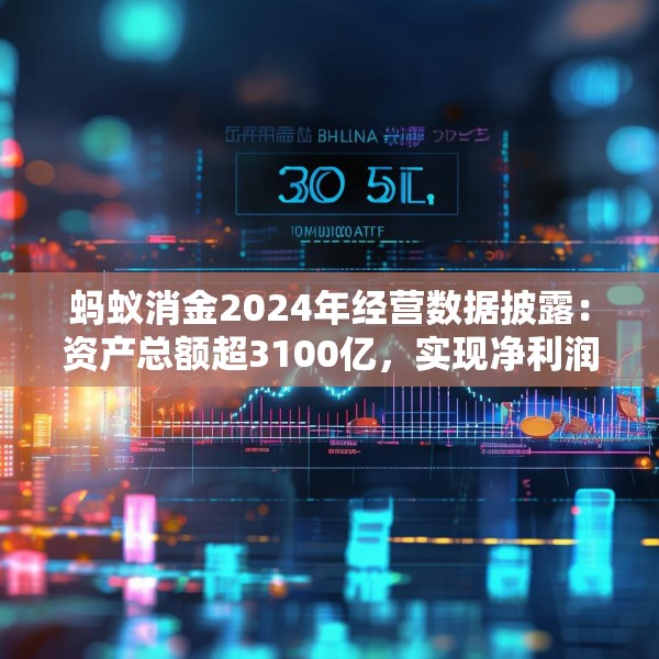 蚂蚁消金2024年经营数据披露：资产总额超3100亿，实现净利润30.51亿元