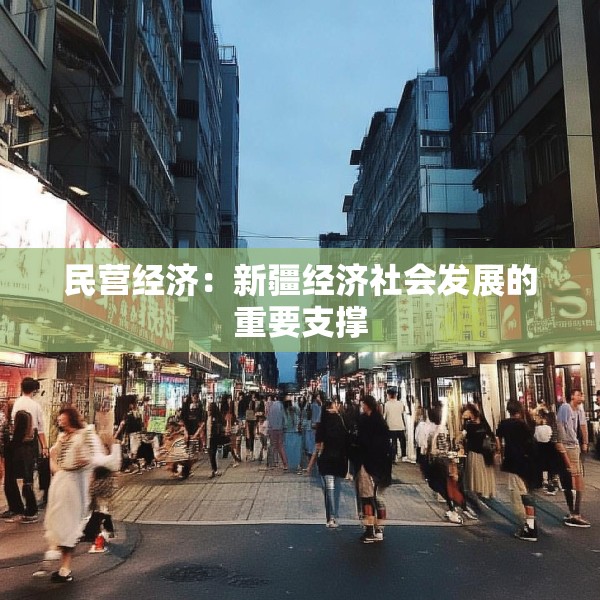 民营经济：新疆经济社会发展的重要支撑