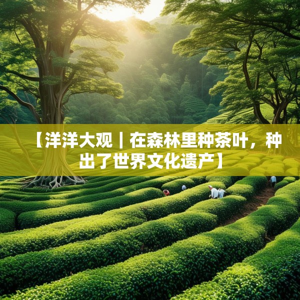 【洋洋大观｜在森林里种茶叶，种出了世界文化遗产】