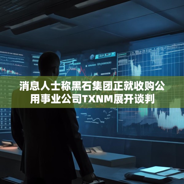 消息人士称黑石集团正就收购公用事业公司TXNM展开谈判