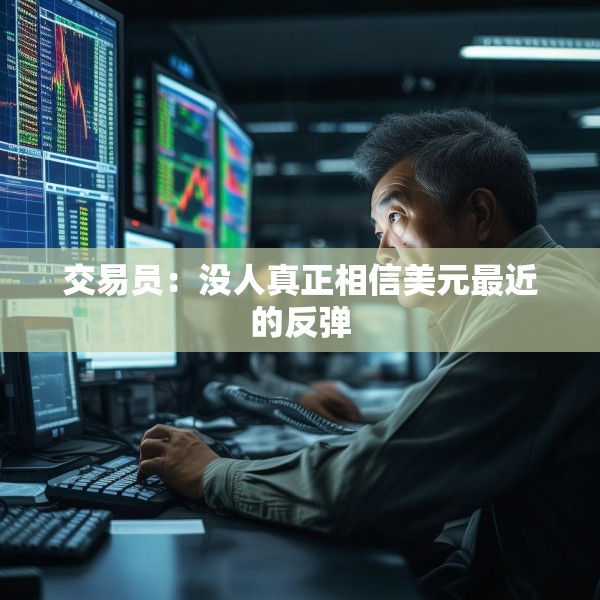 交易员：没人真正相信美元最近的反弹