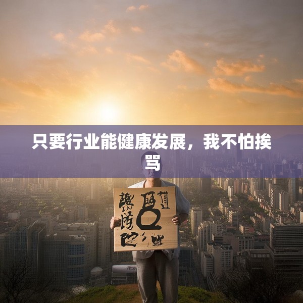 只要行业能健康发展，我不怕挨骂