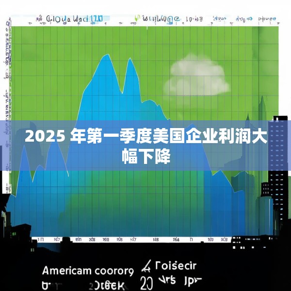 2025 年第一季度美国企业利润大幅下降