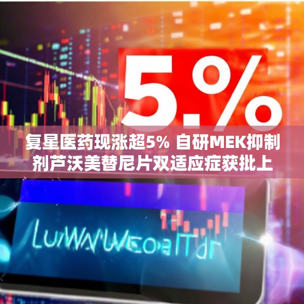 复星医药现涨超5% 自研MEK抑制剂芦沃美替尼片双适应症获批上市