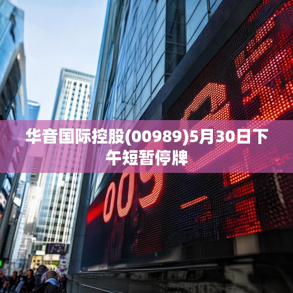 华音国际控股(00989)5月30日下午短暂停牌