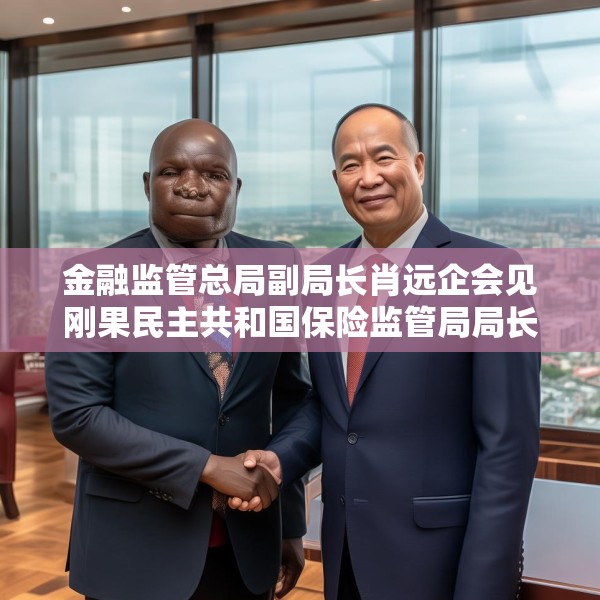 金融监管总局副局长肖远企会见刚果民主共和国保险监管局局长阿兰·卡尼达