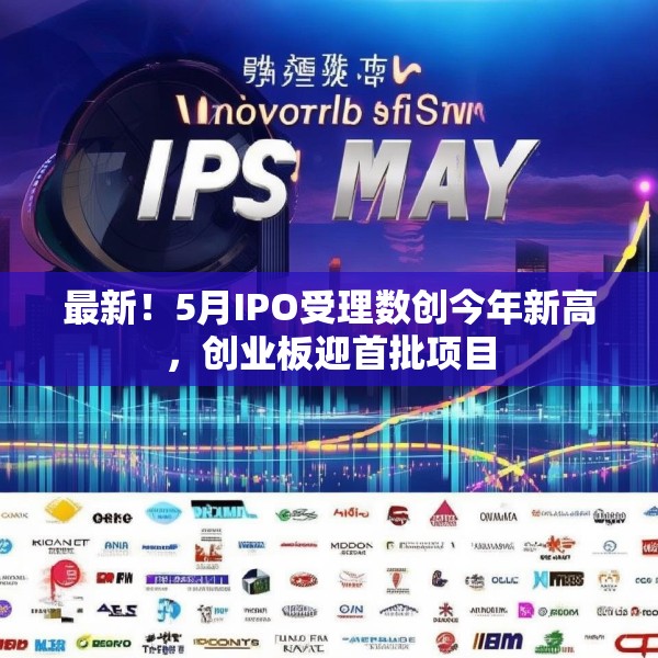 最新！5月IPO受理数创今年新高，创业板迎首批项目