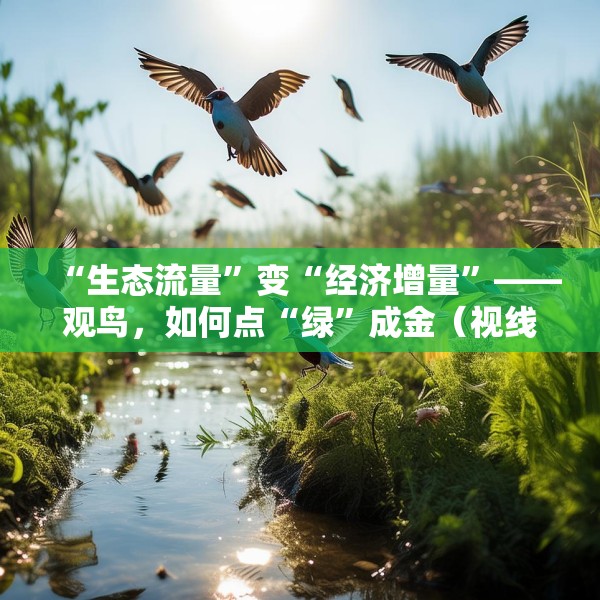 “生态流量”变“经济增量”——观鸟，如何点“绿”成金（视线）