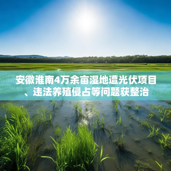安徽淮南4万余亩湿地遭光伏项目、违法养殖侵占等问题获整治