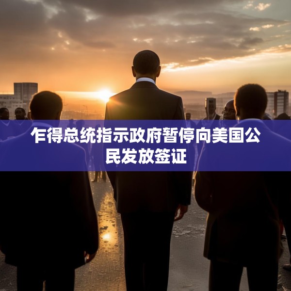 乍得总统指示政府暂停向美国公民发放签证