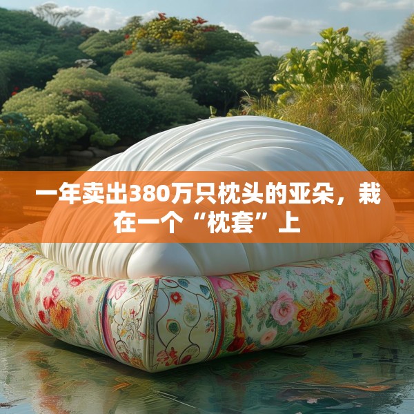 一年卖出380万只枕头的亚朵，栽在一个“枕套”上