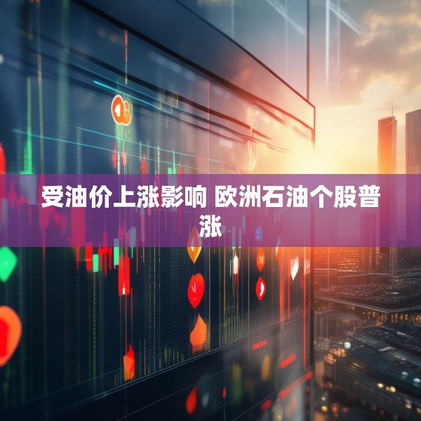 受油价上涨影响 欧洲石油个股普涨