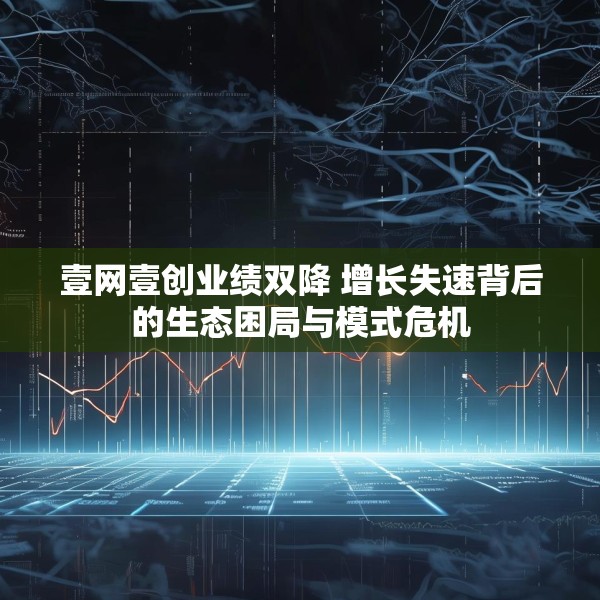 壹网壹创业绩双降 增长失速背后的生态困局与模式危机